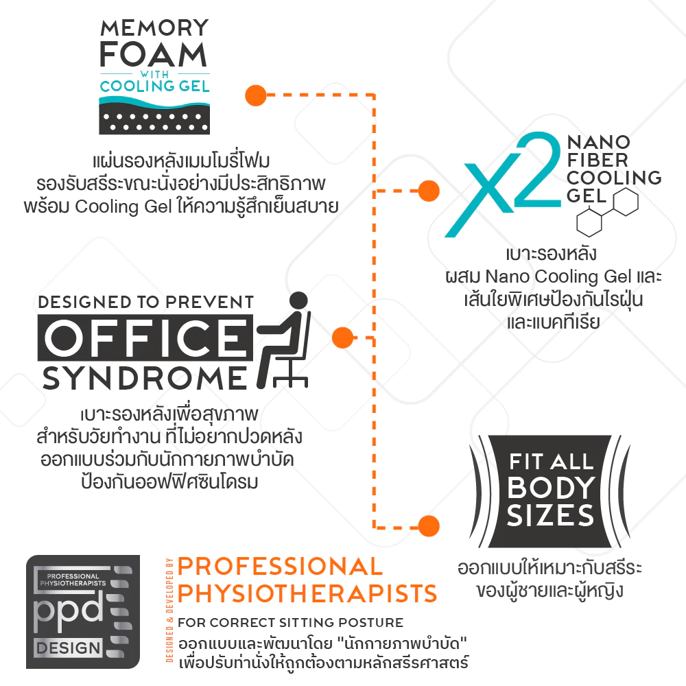 Ergotrend เซ็ตคู่ เบาะรองหลังเพื่อสุขภาพ สำหรับคนปวดหลังกลาง
