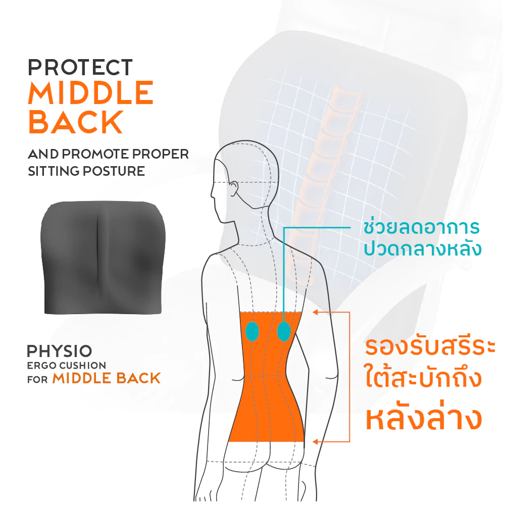 Ergotrend เซ็ตคู่ เบาะรองหลังเพื่อสุขภาพ สำหรับคนปวดหลังกลาง