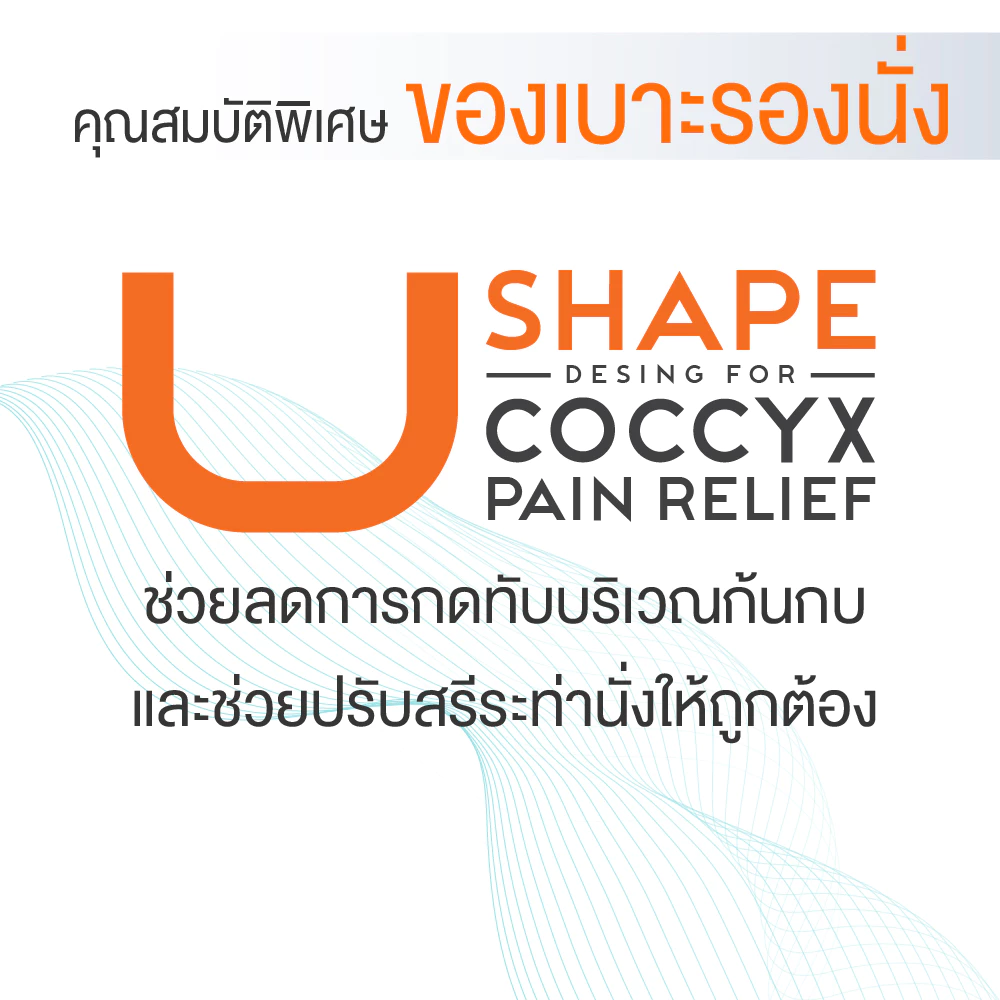 Ergotrend เซ็ตคู่ เบาะรองหลังเพื่อสุขภาพ สำหรับคนปวดหลังกลาง