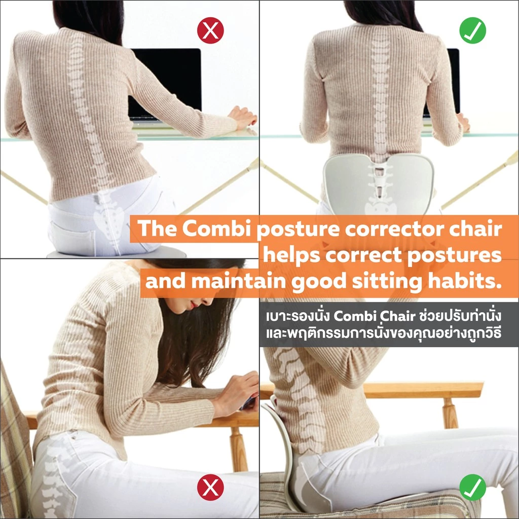 Ergotrend เบาะรองนั่งปรับท่านั่งรุ่นคอมบิ