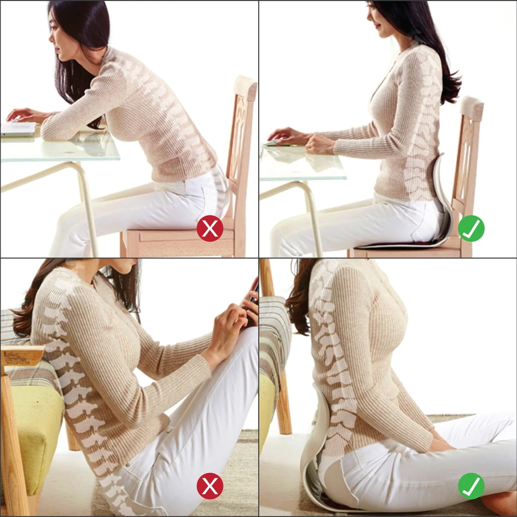 Ergotrend เบาะรองนั่งปรับท่านั่งรุ่นคอมบิ